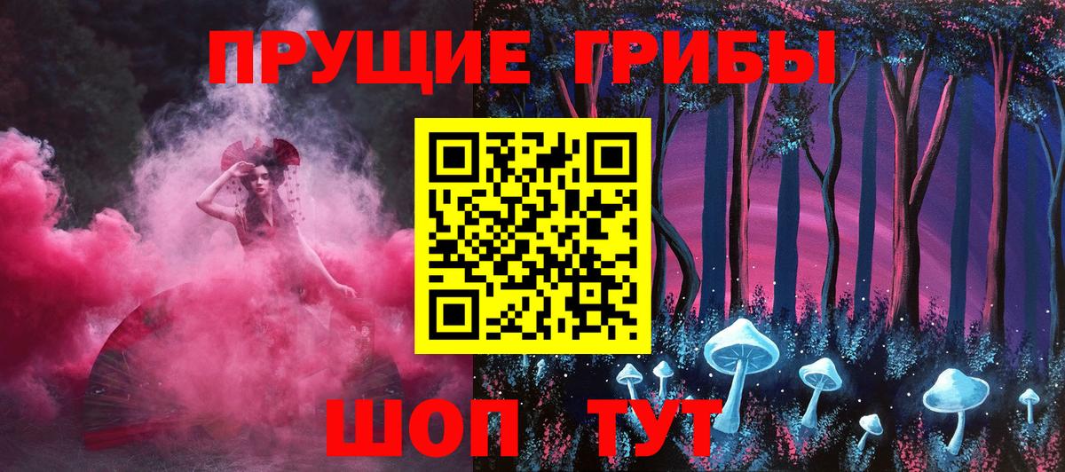 Псилоцибиновые грибы Cubensis Саратов